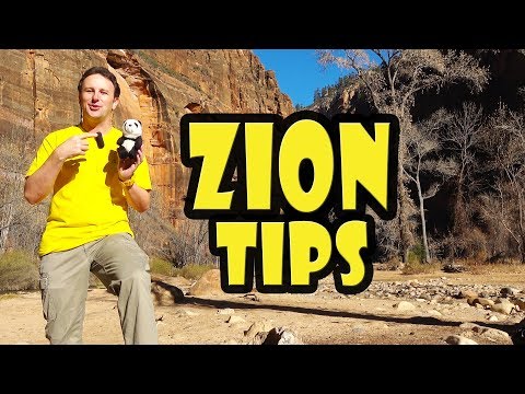 Zion National Park: 10 Things to Know Before You Go