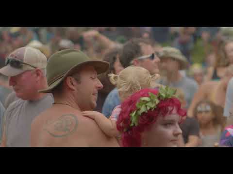 2023 Great Blue Heron Festival Recap