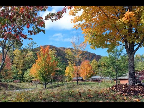 Pisgah National Forest - North Carolina