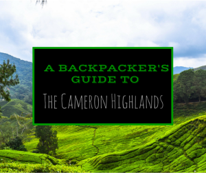 The Ultimate Backpacker's Guide To The Cameron Highlands, Malaysia