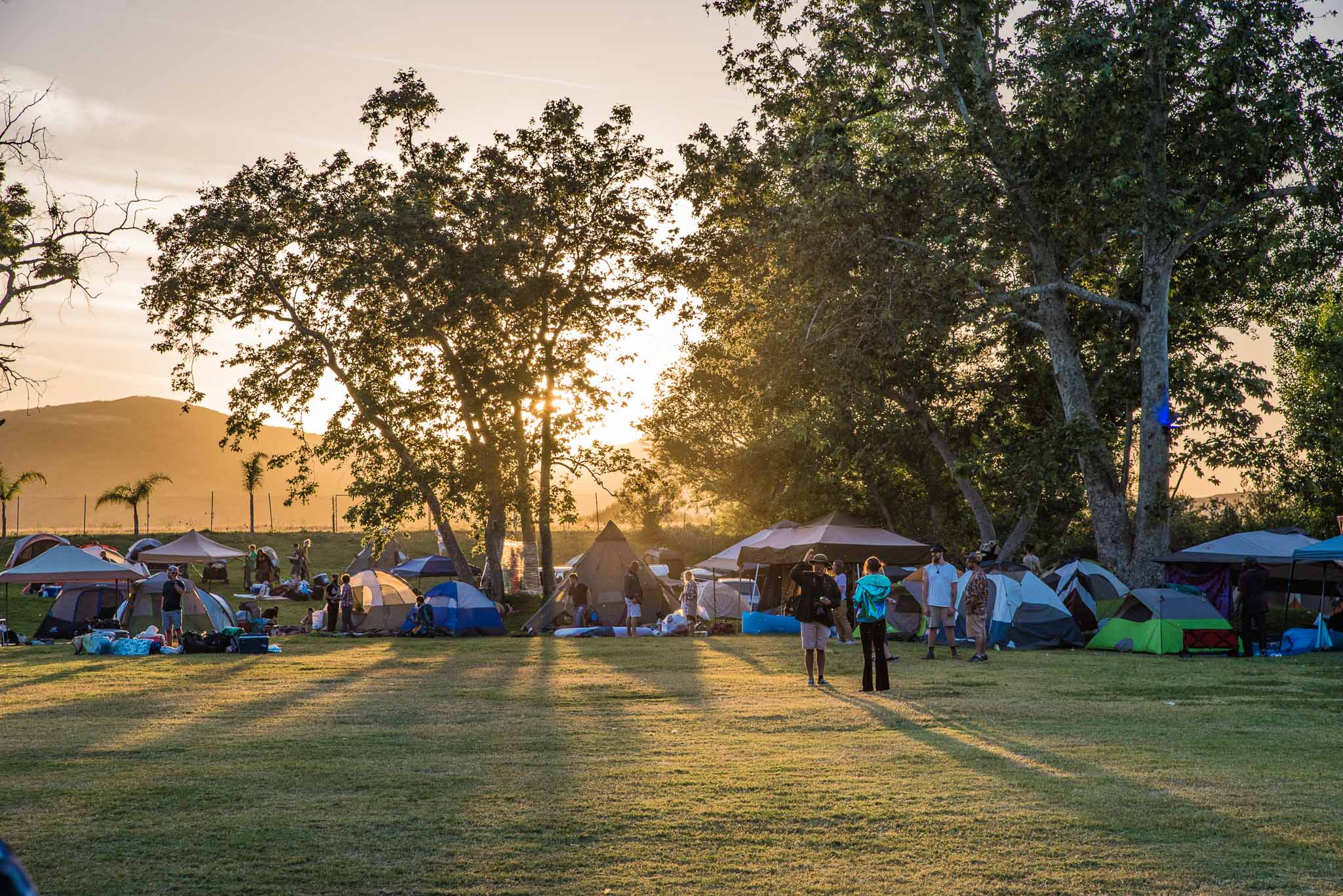 11 Reasons Why I Loved Boogaloo Art Car & Music Festival