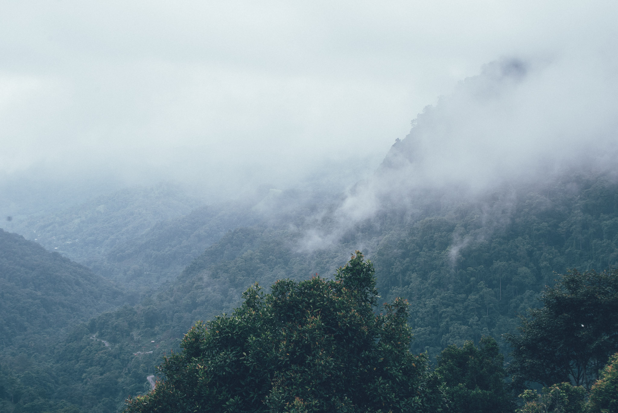 Cave Graves, Happy Dances, And Scenic Drives In Toraja, Indonesia