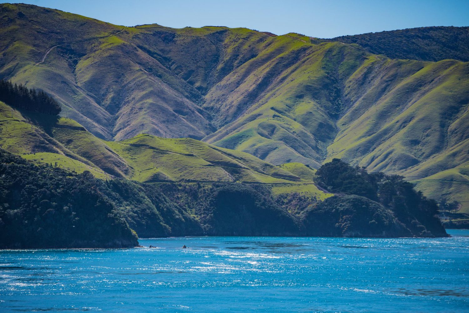 new zealand south island rivers