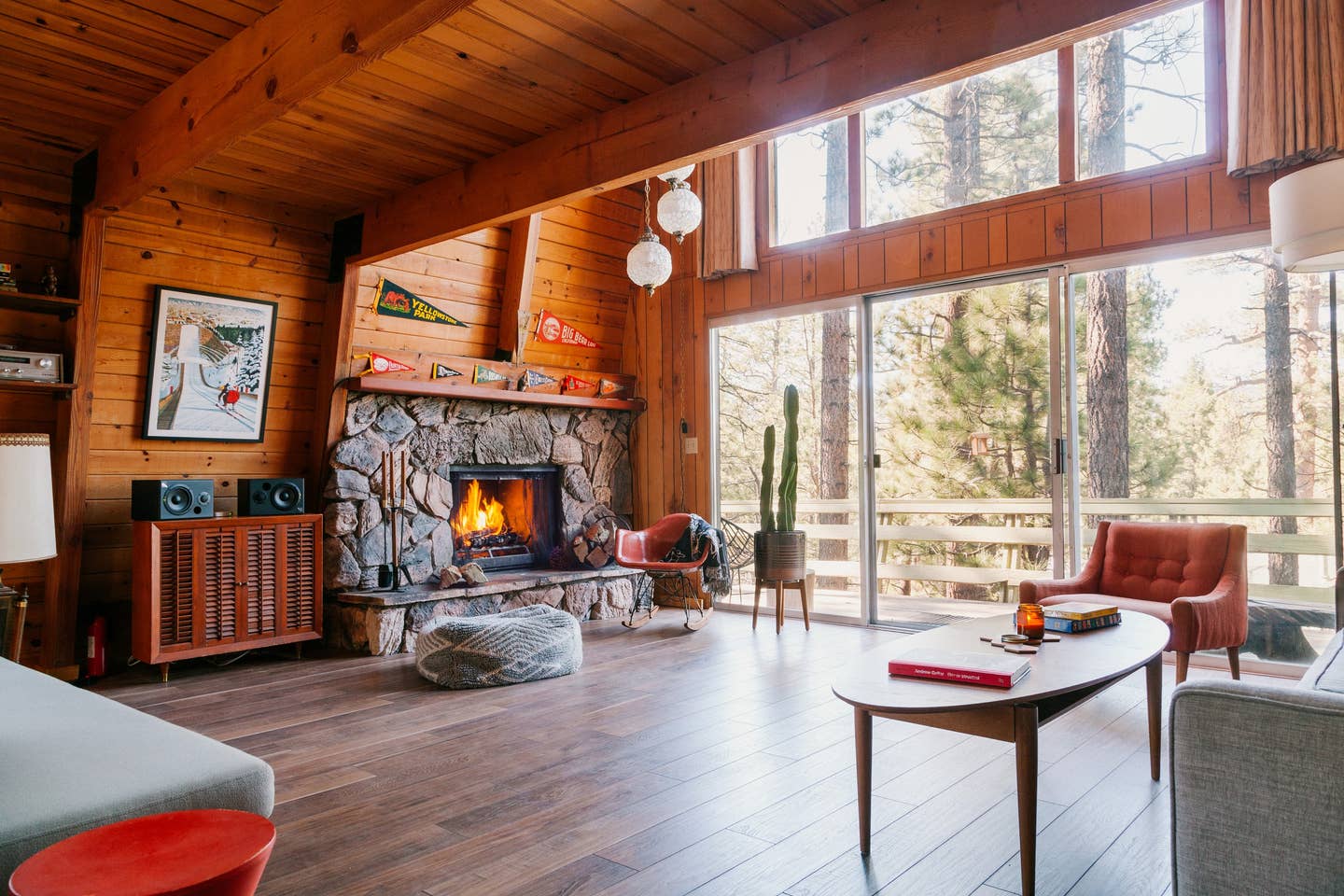 Cabin Living Room With Bear Rug
