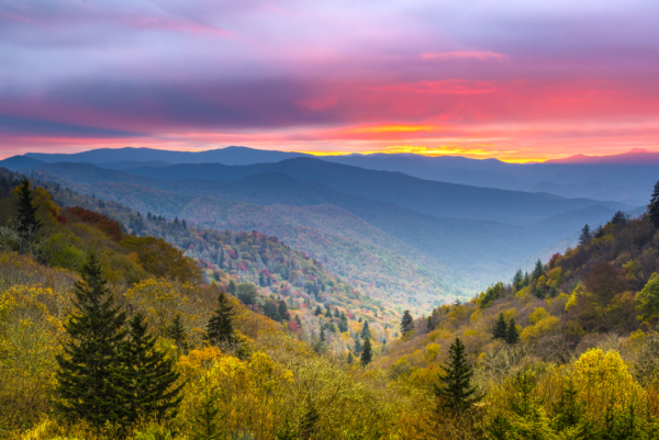 20 Best Airbnbs in Gatlinburg For A Great Smoky Mountains Trip