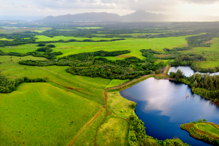 15 Best Airbnbs in Kauai, Hawaii Vacation Rentals (2021 Edition)