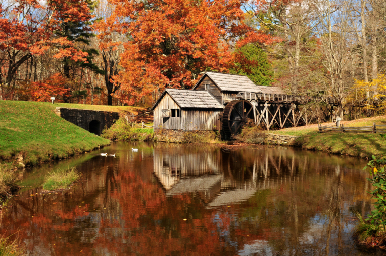 17 Best Glamping Virginia Sites To Visit in 2023 (Updated)