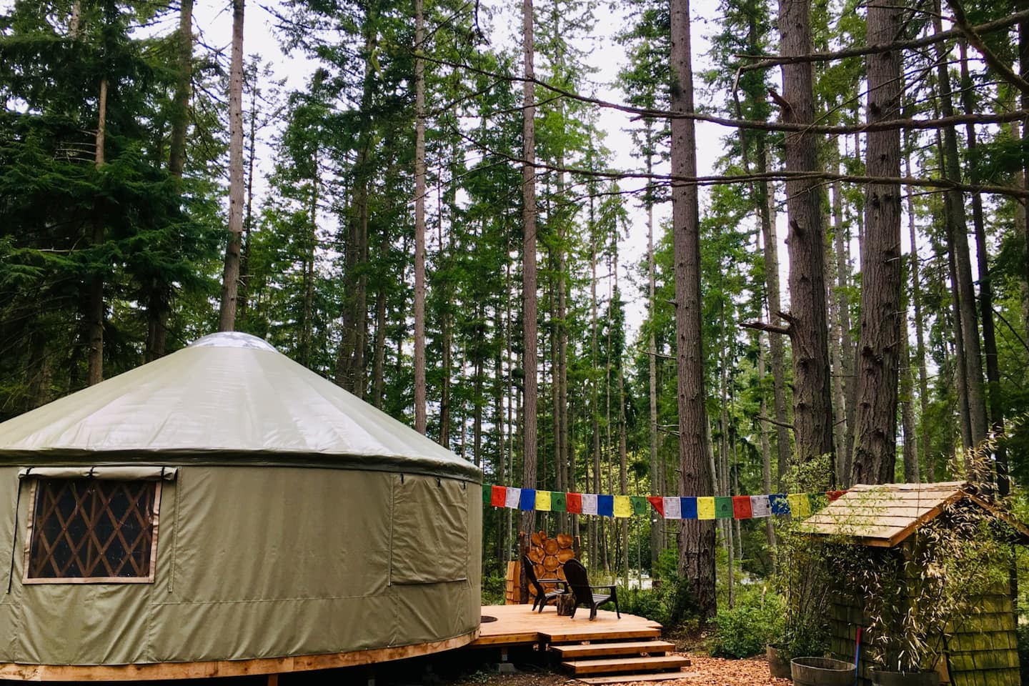Forest Yurt Nature Retreat on Whidbey Island Airbnb