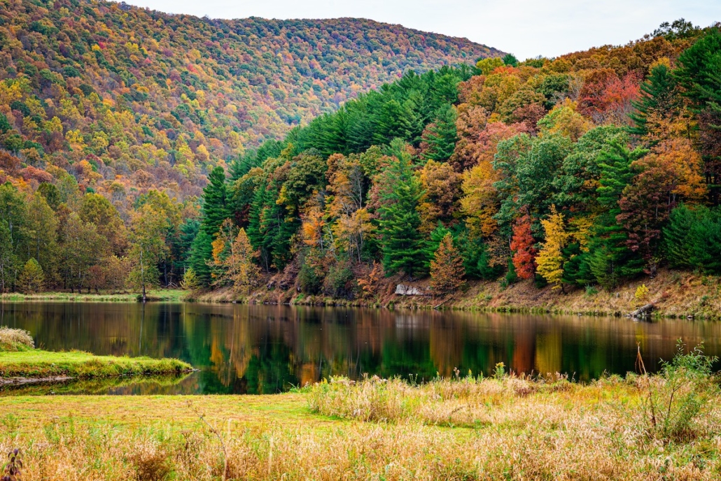 13 Best Airbnbs in Pennsylvania (Unique Cabins & Luxury Stays)