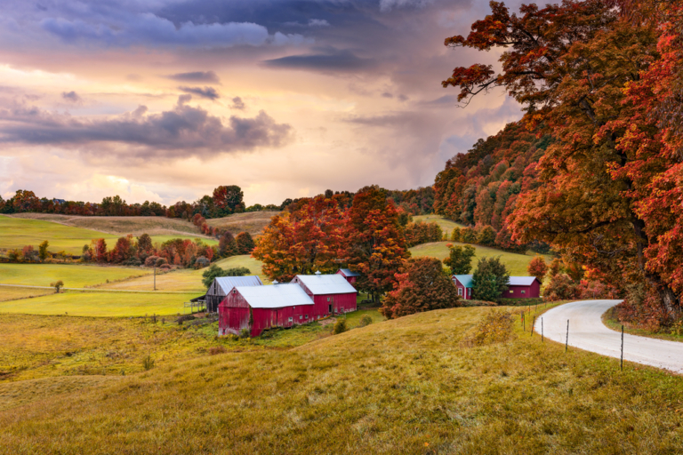 15 Best Airbnbs In Vermont (Cabins, Cottages & Unique Stays)