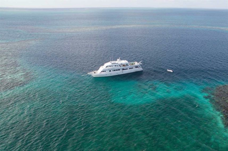 15 Best Liveaboards In The Caribbean: EPIC Scuba-Diving Trips