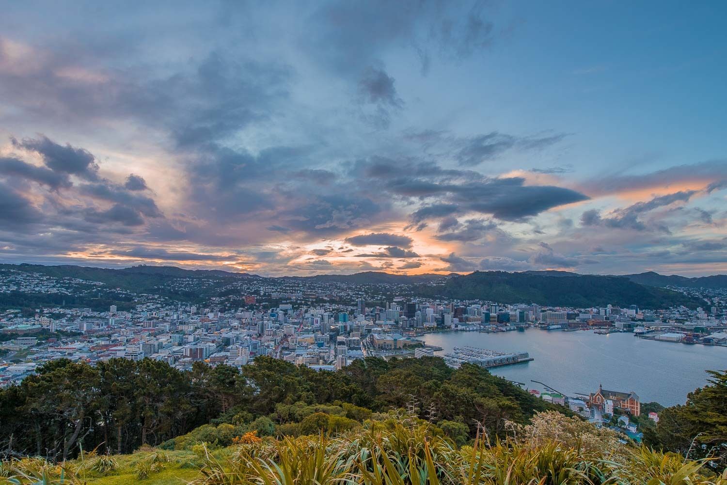 Wellington New Zealand