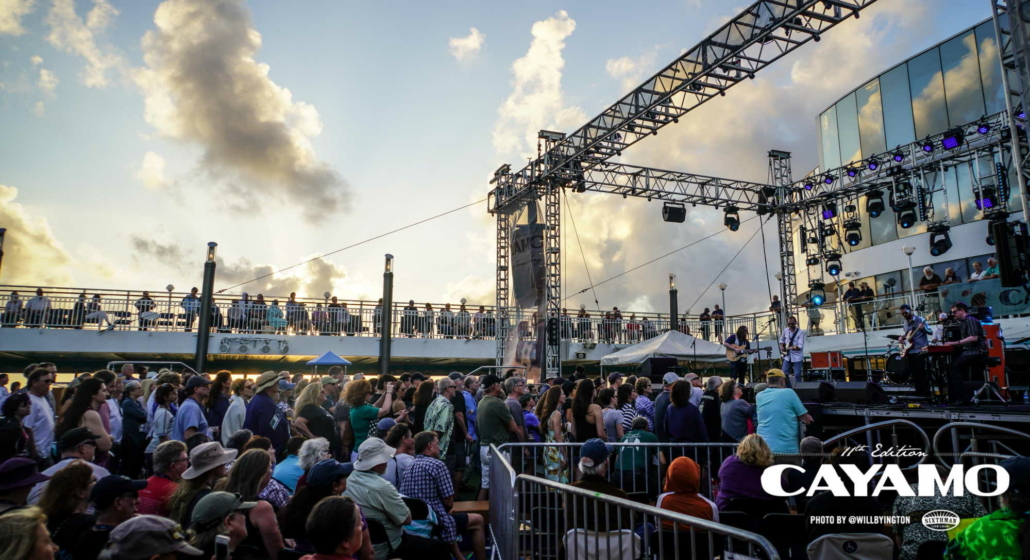 Top 23 Music Festival Cruises To Experience Before You Die (2024)