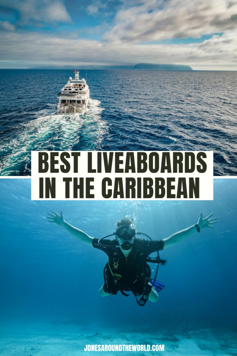 15 Best Liveaboards in the Caribbean: EPIC Scuba-Diving Trips