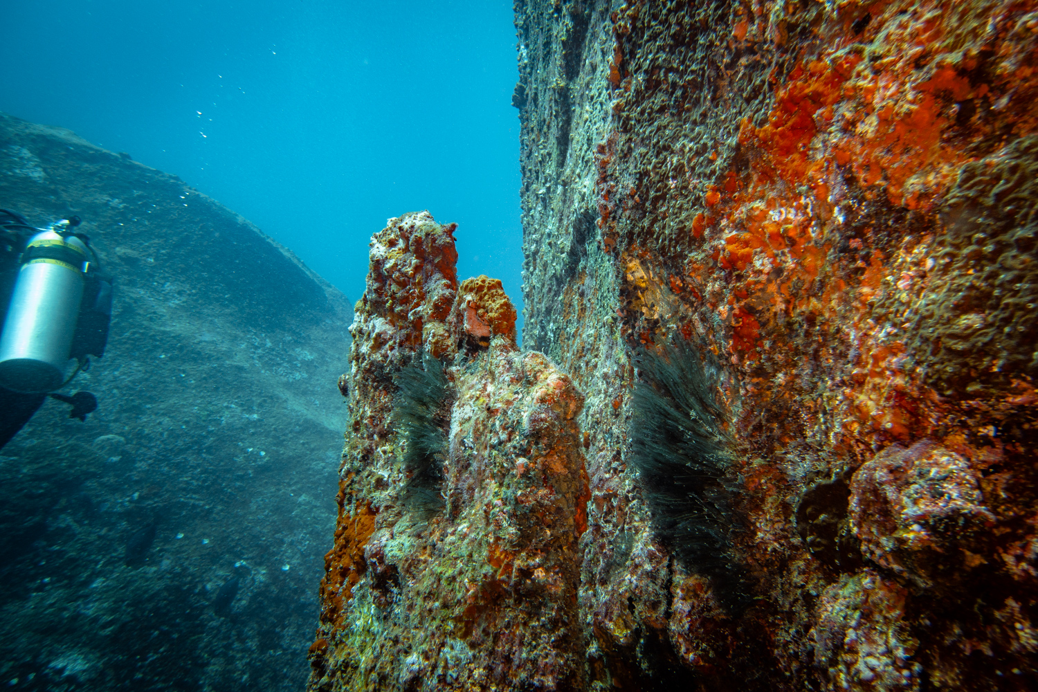 Similan Islands Marco Polo Liveaboard Review